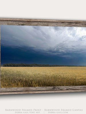 A framed landscape art print showing a golden wheat field under a dark stormy sky, presented in a rustic barnwood frame against a light gray background.