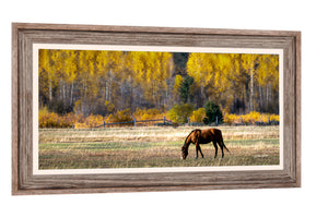 Horse wall art – panoramic rustic Western fine art print by Debra Gail Fine Art