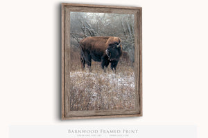 Bison wall art – vertical buffalo canvas prairie photography print by Debra Gail Fine Art