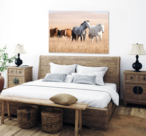 Kansas Flint Hills Wild Horses Wall Art – Prairie Horse Photography