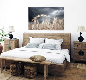 Kansas Wheat Field Wall Art | Great Plains Farm Photography