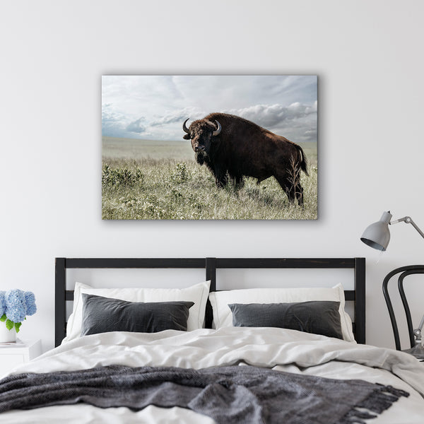 BIG BISON BULL ON THE PRAIRIE - RUSTIC WALL ART