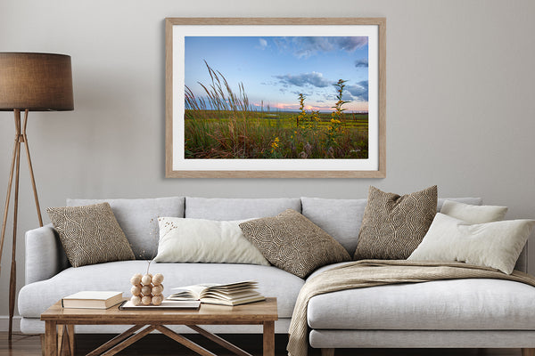 Kansas Flint Hills Wildflowers Fine Art Print - Farmhouse Decor