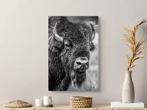 Vertical Bison Canvas Wall Art | Western Black and White Wildlife