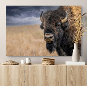 Bison Scripture Art - Rustic Western Home Decor | Buffalo Canvas Print