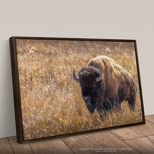 Bison Wall Art | Warm Neutral Prairie Wildlife Fine Art