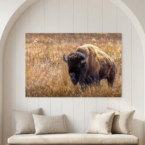 Bison Wall Art | Warm Neutral Prairie Wildlife Fine Art