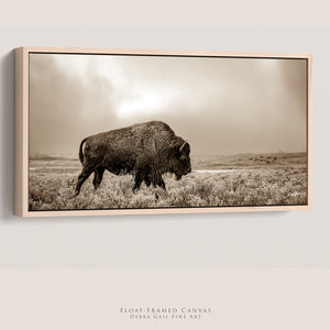 American Bison Wall Art | Rustic Western Landscape Canvas