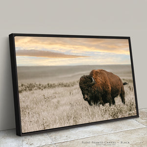 Kansas Bison Art | Fine Art Buffalo Wildlife Photography