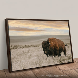 Kansas Bison Art | Fine Art Buffalo Wildlife Photography