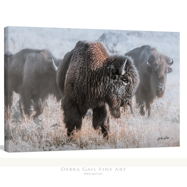 Bison in the Snow - Rustic Art Canvas Print No. 7745