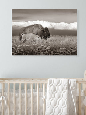 Bison wall art – rustic prairie photography print by Debra Gail Fine Art