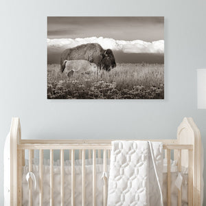 Bison wall art – rustic prairie photography print by Debra Gail Fine Art