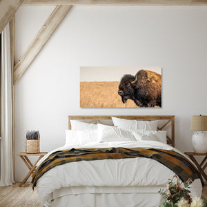 American Bison Panoramic Wall Art – Prairie Buffalo Photography Print, Western Wildlife Canvas