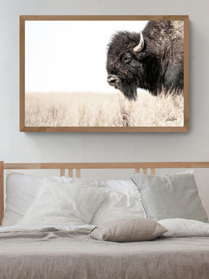 Bison wall art – rustic prairie photography print by Debra Gail Fine Art