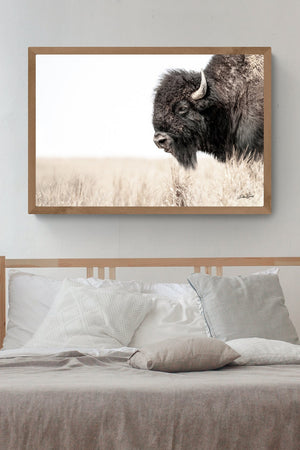 Bison wall art – rustic prairie photography print by Debra Gail Fine Art