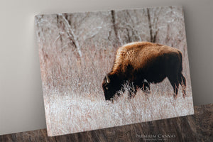 Buffalo Canvas Art | Bison Wall Art - Rustic Western Decor - Great Plains Buffalo