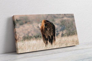 American Buffalo | Wide Panoramic Wall Art Canvas