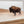 Foggy Bison Wall Art – Rustic Western Wildlife Print