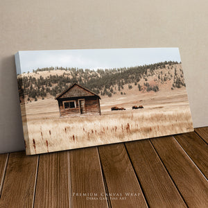 Large horizontal bison wall art for rustic farmhouse decor, Great Plains wildlife photography.