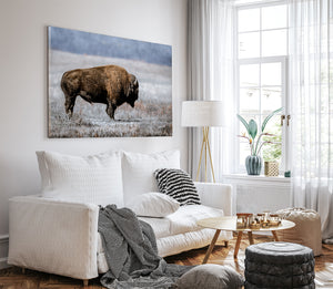 American Bison Wall Art - Rustic Buffalo Canvas Print for Western Home Decor