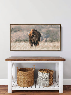 American Buffalo | Wide Panoramic Wall Art Canvas