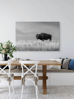 American Bison Wall Art | Black and White