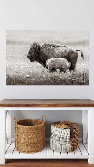 Bison wall art – rustic prairie photography print by Debra Gail Fine Art