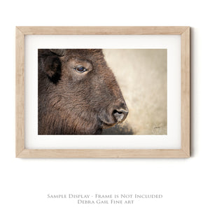 Bison wall art – rustic prairie photography print by Debra Gail Fine Art
