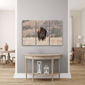 American Buffalo Triptych Wall Art | 3-Panel Canvas