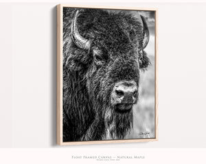 Vertical Bison Canvas Wall Art | Western Black and White Wildlife