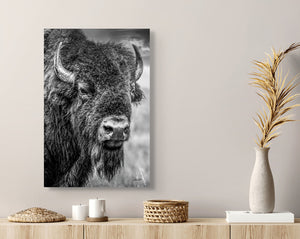 Vertical Bison Canvas Wall Art | Western Black and White Wildlife