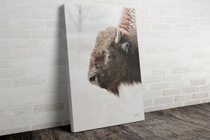 Buffalo fine art print – Great Plains wildlife wall decor by Debra Gail Fine Art