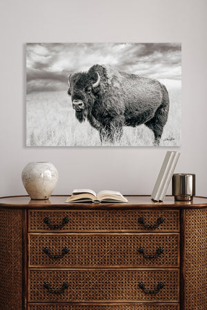 Bison wall art – rustic prairie photography print by Debra Gail Fine Art