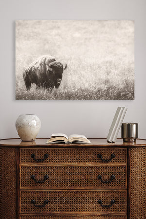 Minimalist Bison Canvas Art Print