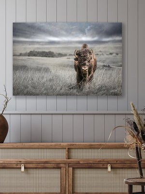 Buffalo fine art print – Great Plains wildlife wall decor by Debra Gail Fine Art