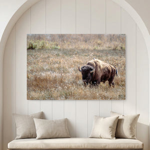 Bison Wall Art | Western & Rustic Warm Fine Art Buffalo Canvas and Prints