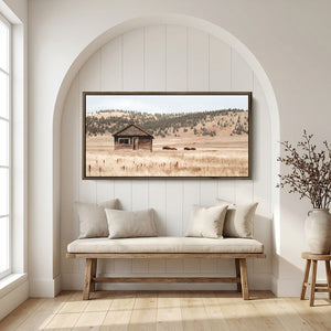 Western wildlife panoramic print featuring lone American bison walking through tall prairie grass