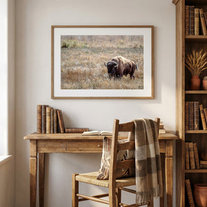 Bison Wall Art | Western & Rustic Warm Fine Art Buffalo Canvas and Prints