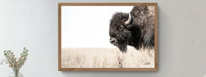 Bison wall art – rustic prairie photography print by Debra Gail Fine Art