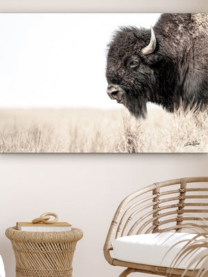 Bison wall art – rustic prairie photography print by Debra Gail Fine Art
