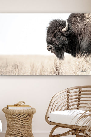 Bison wall art – rustic prairie photography print by Debra Gail Fine Art