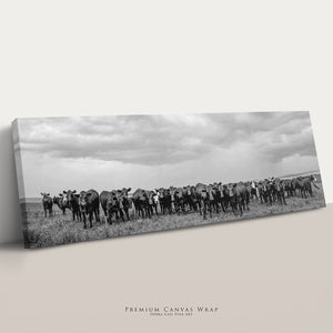 Black Angus Wall Art | Panoramic Cattle Ranch Landscape