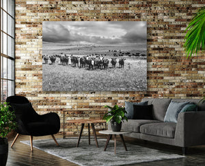 Black Angus Wall Art | Rustic Farmhouse Ranch Landscape