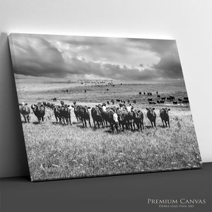 Black Angus Wall Art | Rustic Farmhouse Ranch Landscape