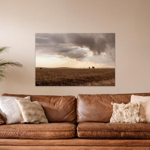 Black Angus cattle wall art – rustic Western photography print by Debra Gail Fine Art