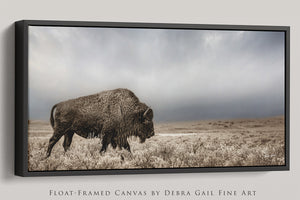 American Bison Panoramic Wall Art | Western Decor