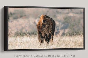 American Buffalo | Wide Panoramic Wall Art Canvas