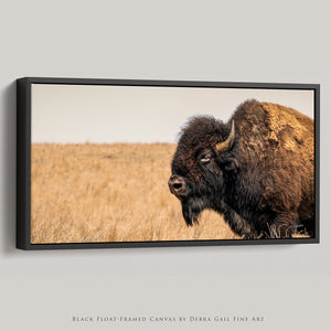 American Bison Panoramic Wall Art – Prairie Buffalo Photography Print, Western Wildlife Canvas