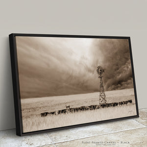 Black Angus Canvas Wall Art | Nebraska Windmill Print Farmhouse Decor